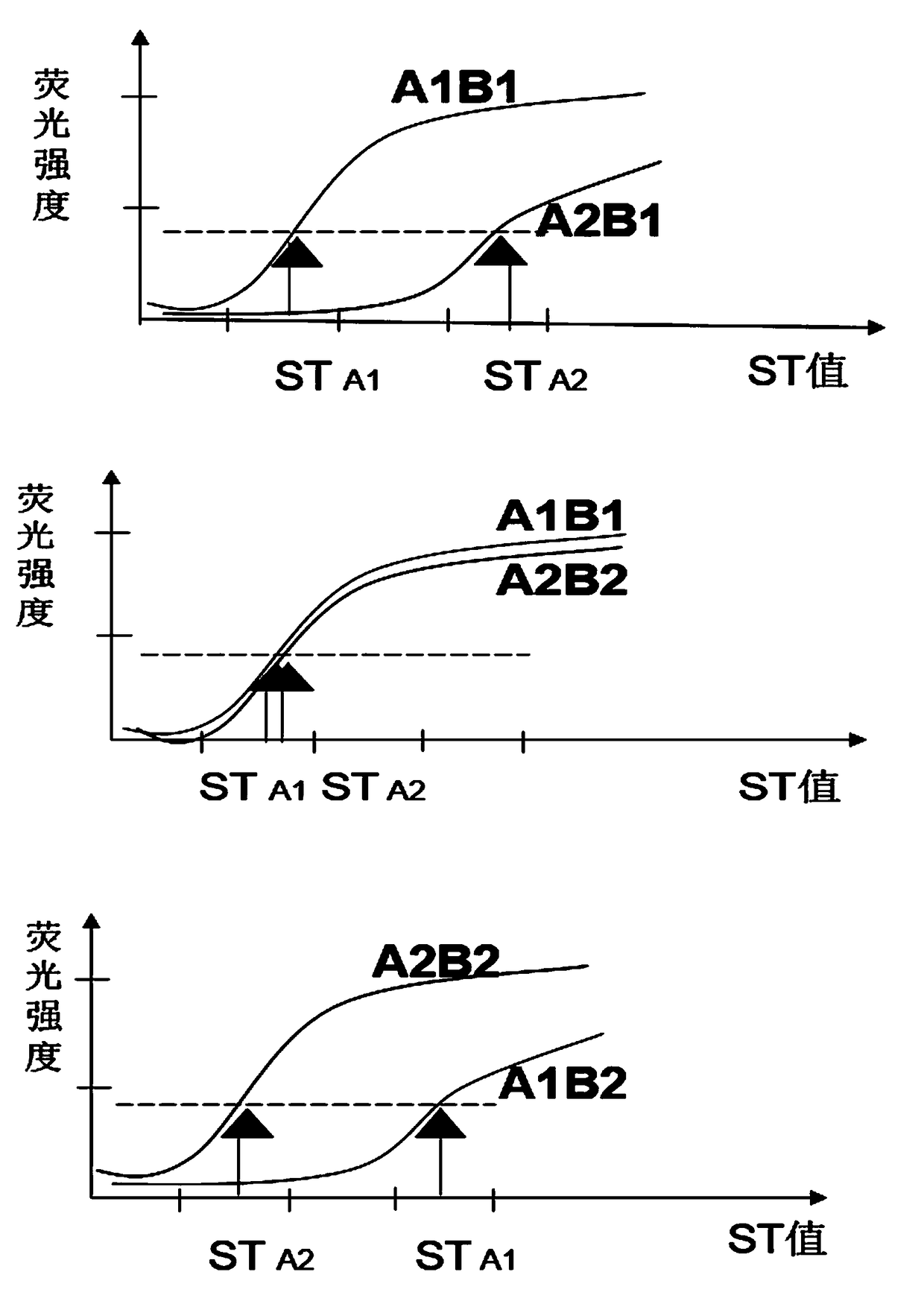 Nucleotide molecule combination for fluorescence in situ hybridization sequencing detection of SNP and application thereof