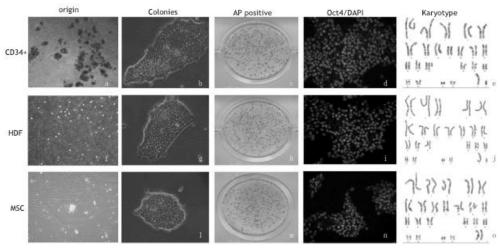 Reprogramming medium and method for culturing reprogrammed induced pluripotent stem cells
