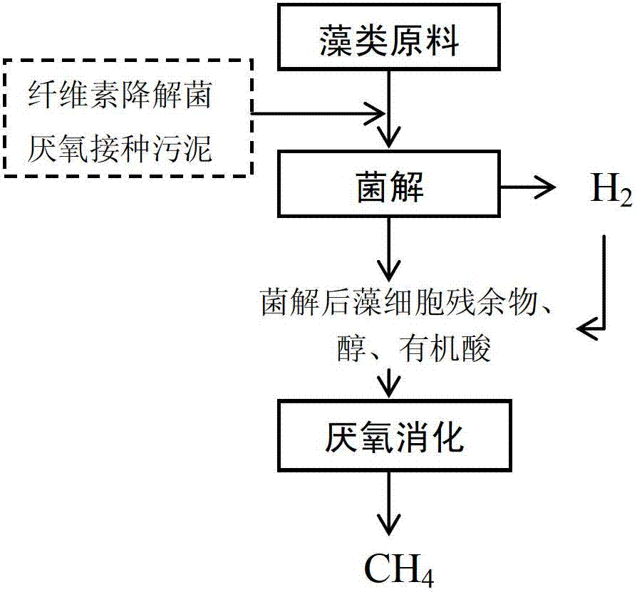 Method for improving anaerobic energy production efficiency of algae raw material through bacterial degradation biological pretreatment