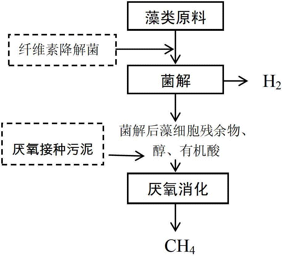 Method for improving anaerobic energy production efficiency of algae raw material through bacterial degradation biological pretreatment