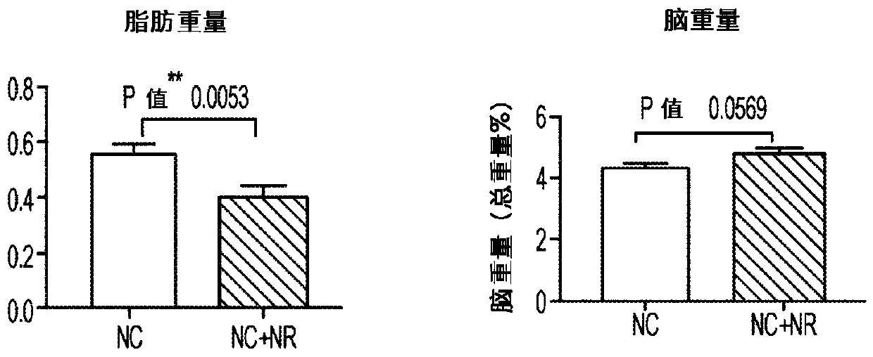 Use of nad precursors for improving maternal health and/or offspring health