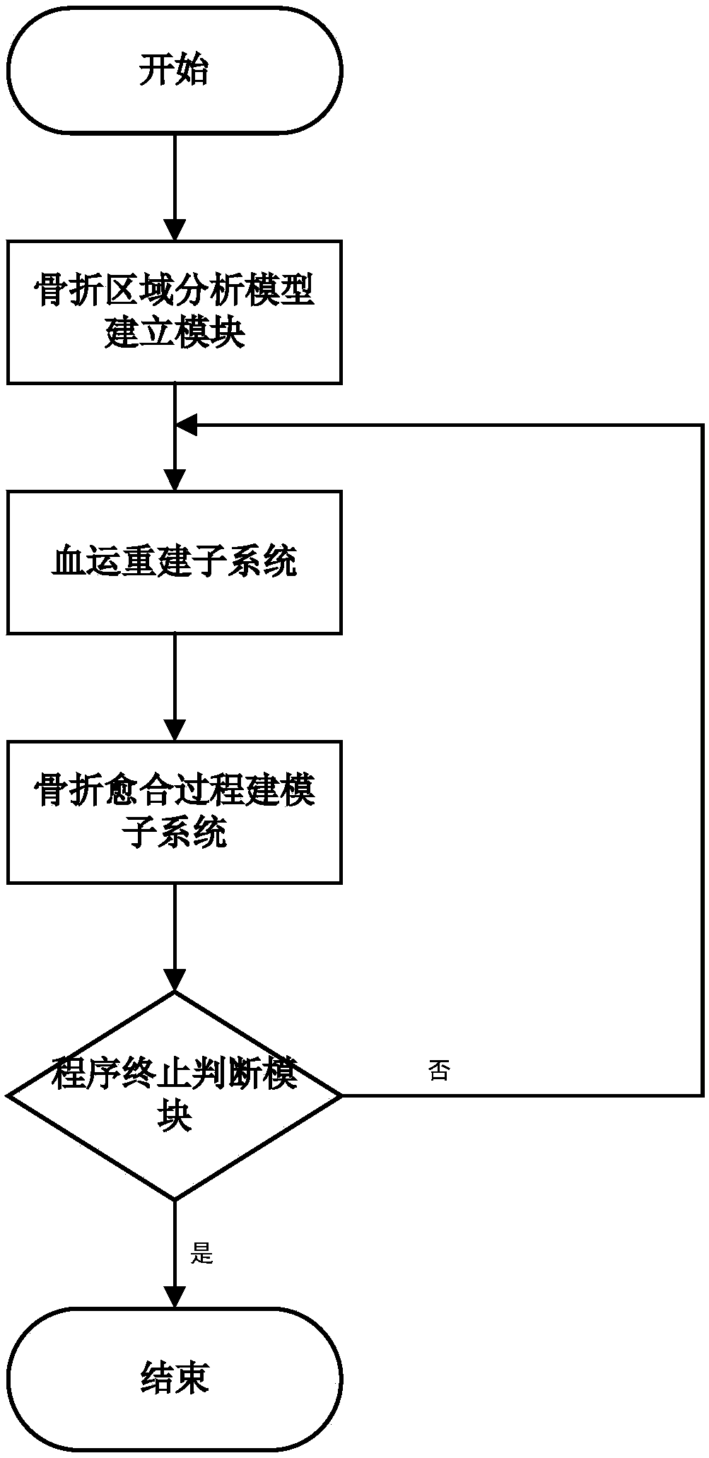 Simulation system for simulating fracture healing process