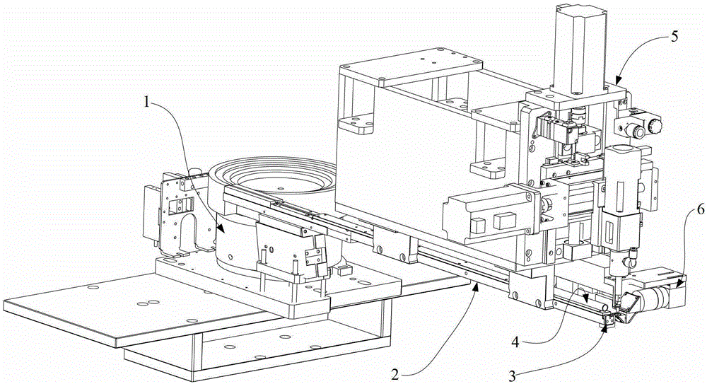 Automatic placement device and placement method