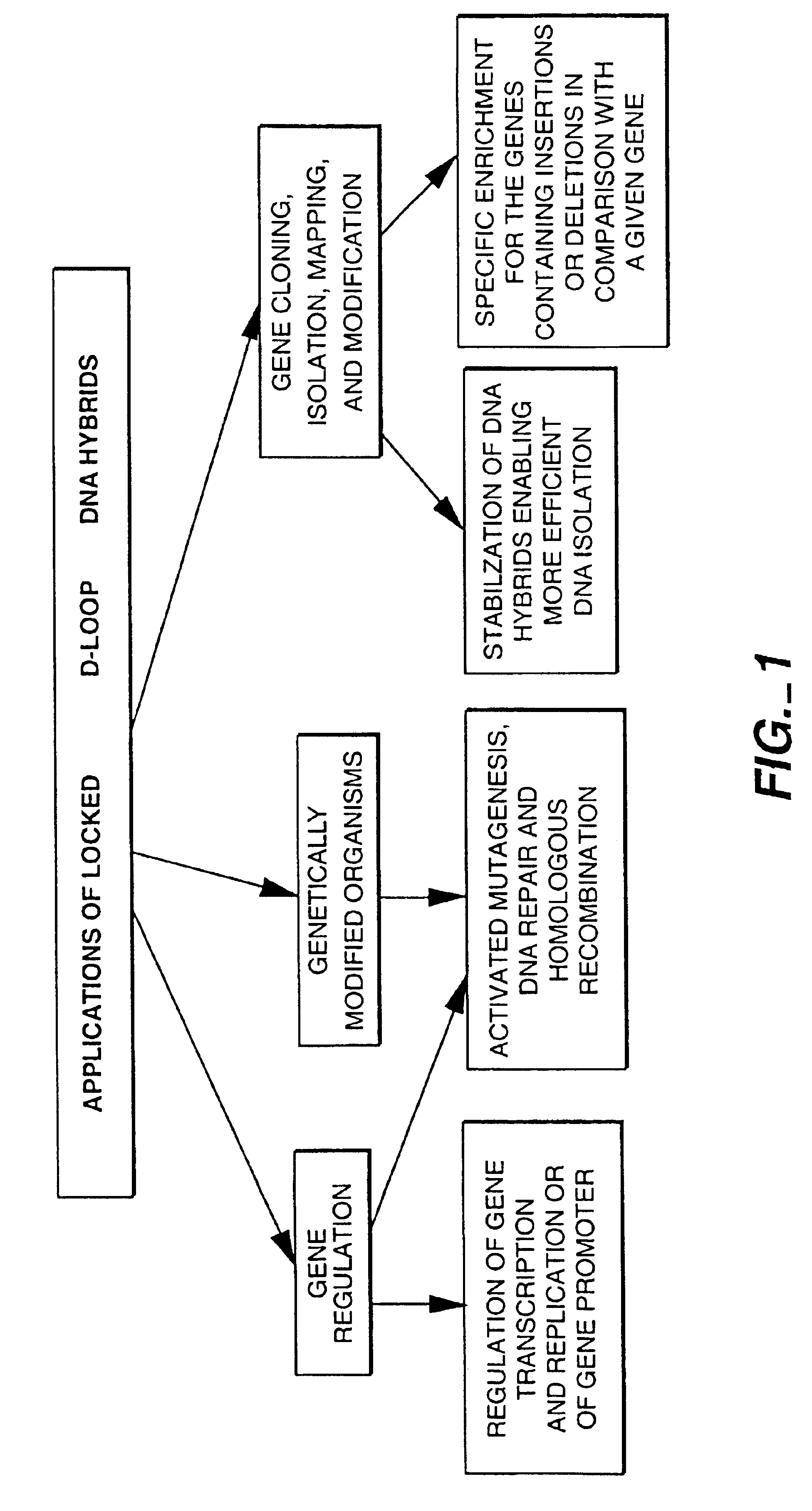 Locked nucleic acid hybrids and methods of use