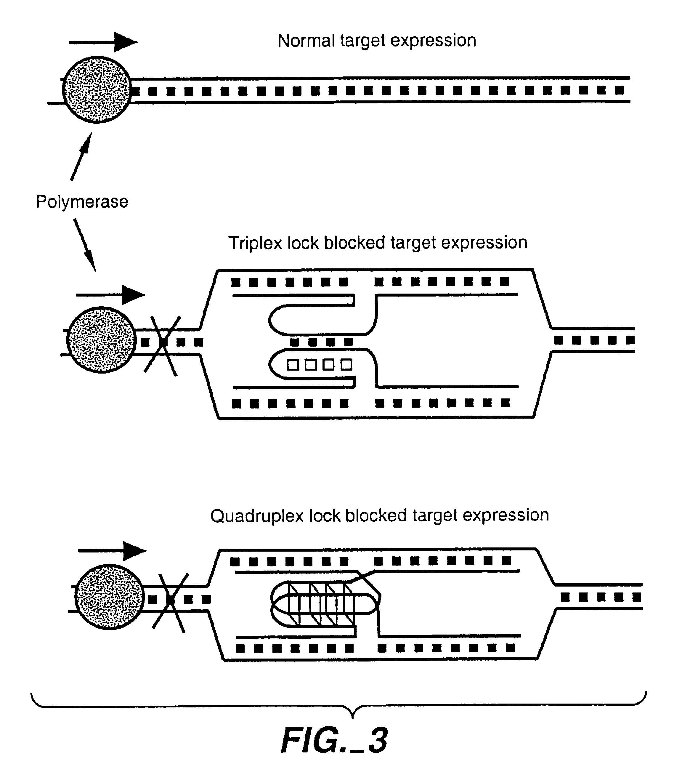 Locked nucleic acid hybrids and methods of use