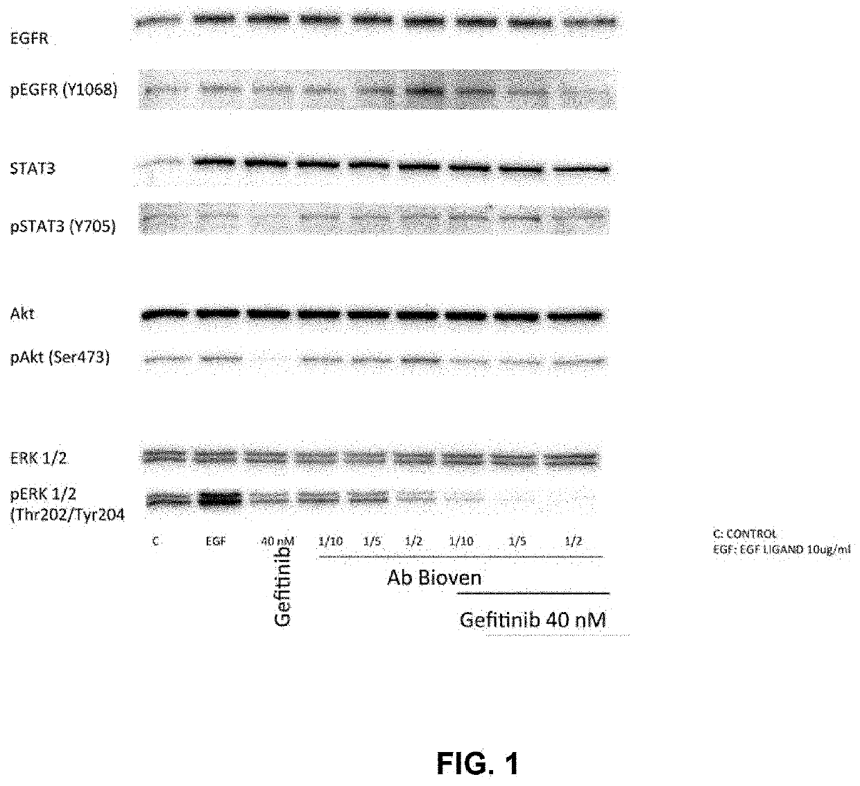 Methods and compositions for inhibition of egf/egfr pathway in combination with tyrosine kinase inhibitors