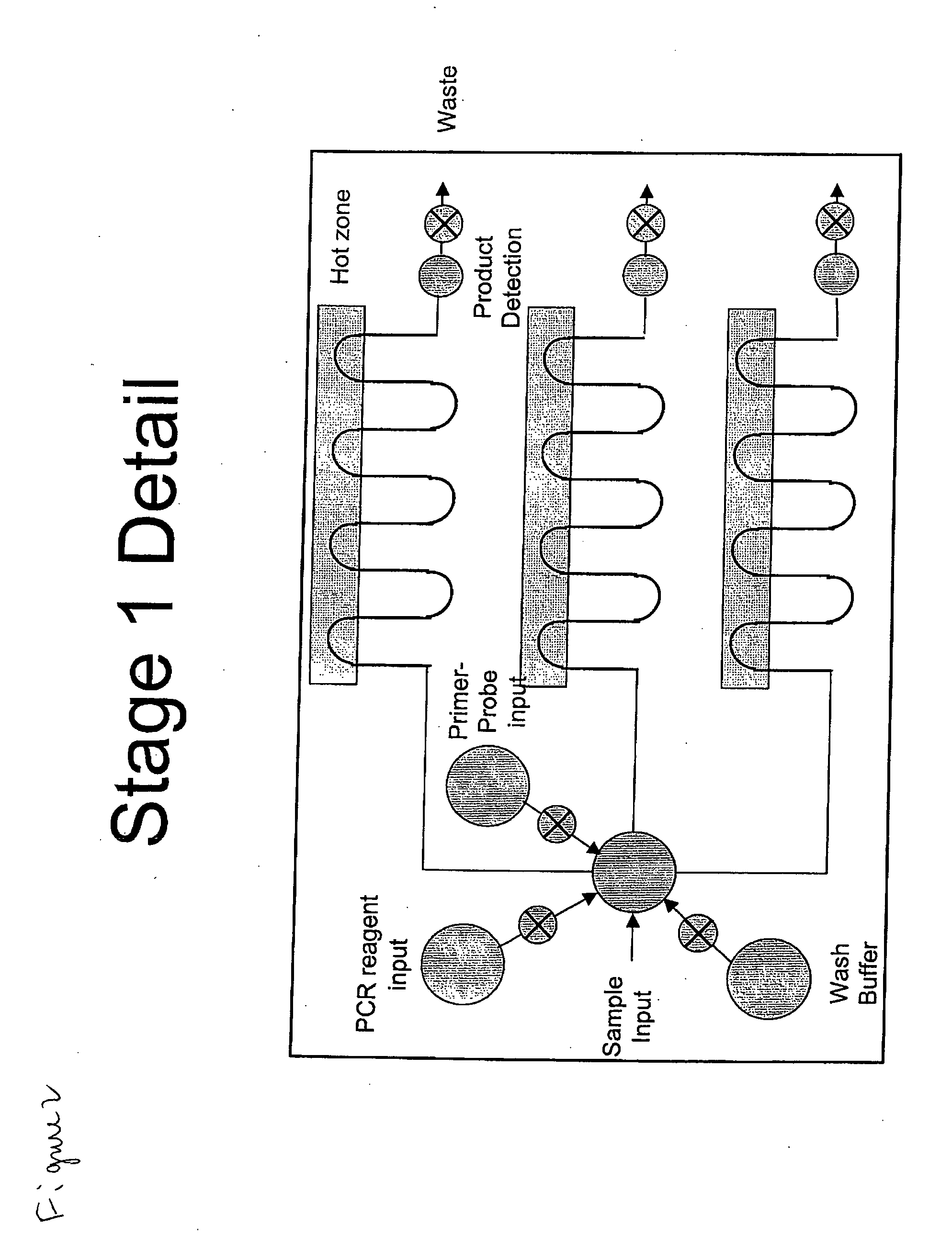 System for the Detection of a Biological Pathogen and Use Thereof