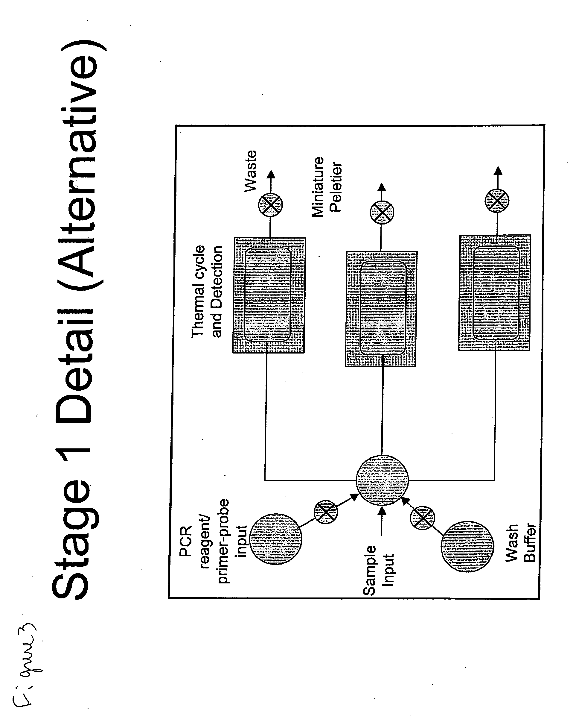 System for the Detection of a Biological Pathogen and Use Thereof
