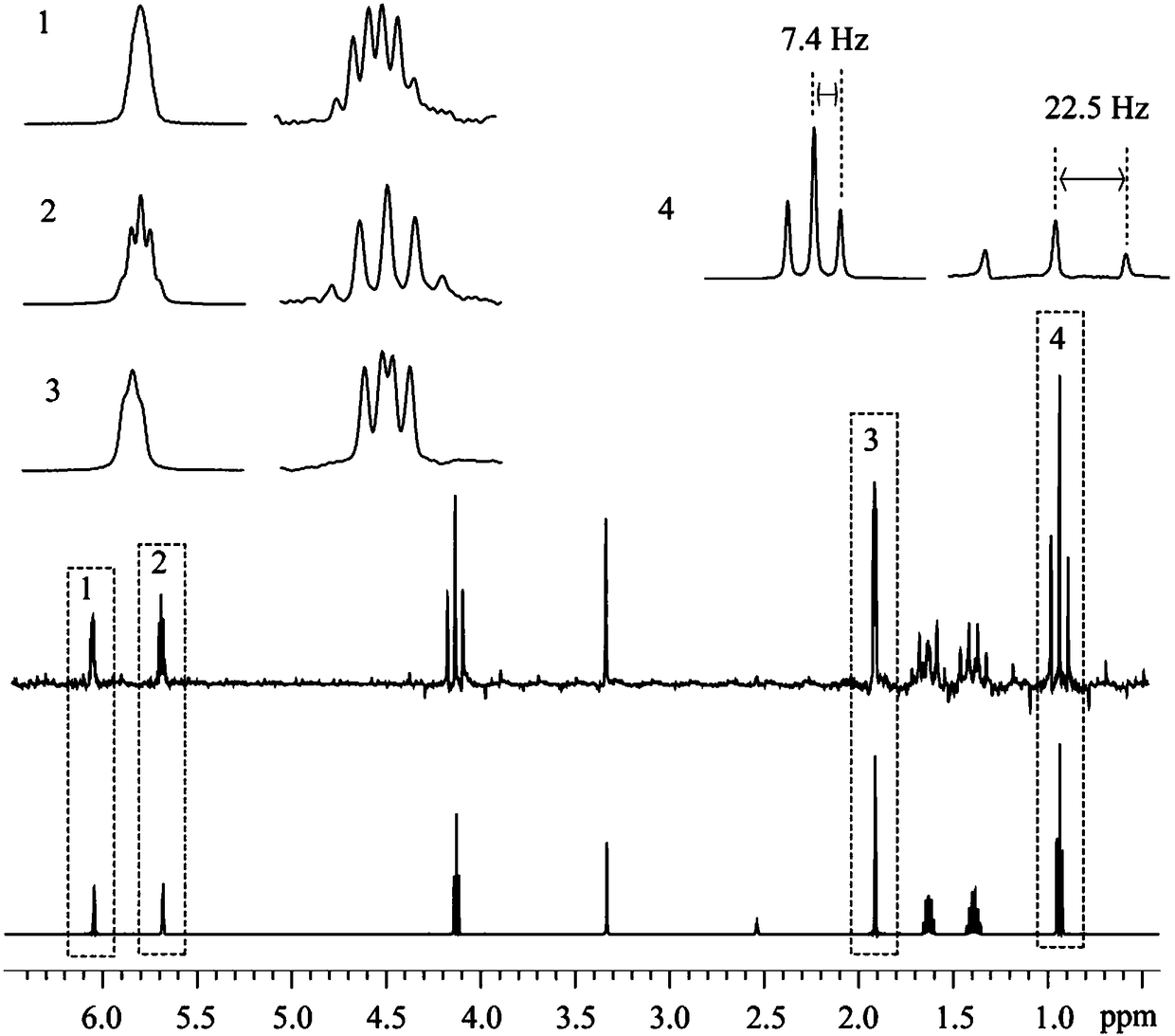 Nuclear magnetic resonance method for acquiring J coupling constant amplified spectrogram