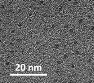 Method for preparing sulfur-phosphorus co-doped carbon quantum dots by adopting buckwheat shell as carbon source