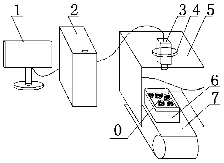 Device and method for grading the size of whole box of red grapes based on machine vision