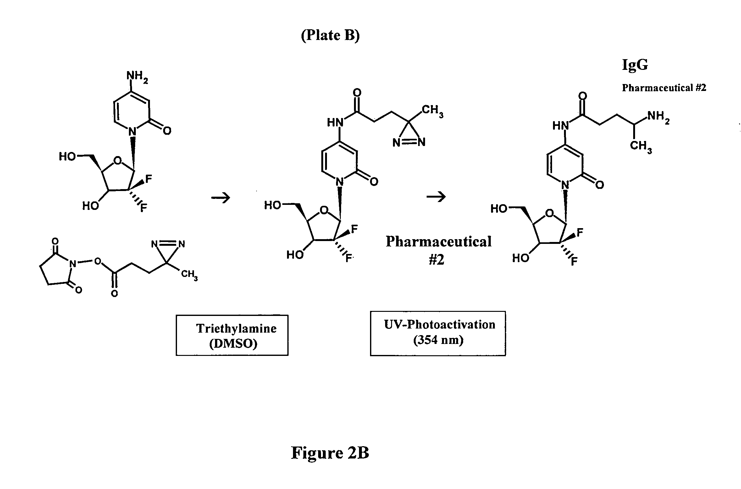 Molecular Design and Chemical Synthesis of Pharmaceutical-Ligands and Pharmaceutical-Pharmaceutical Analogs with Multiple Mechanisms of Action