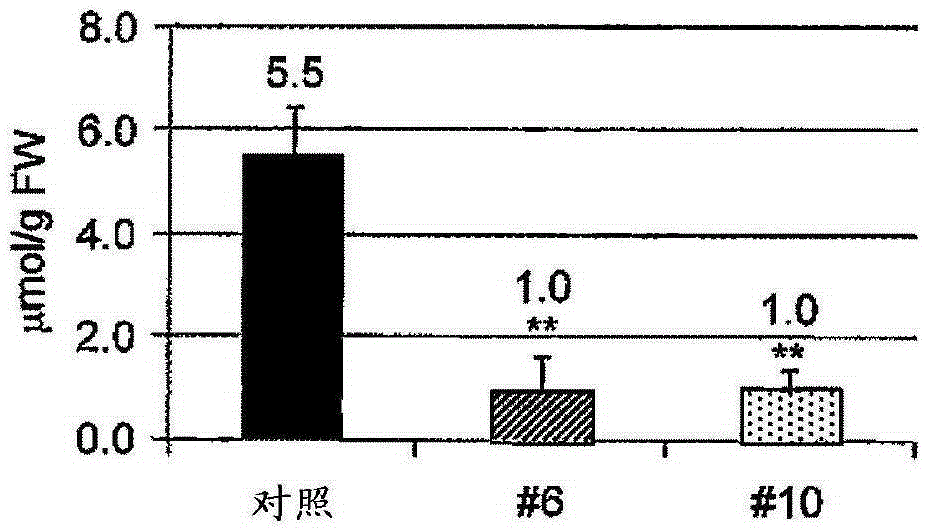 Onion which have less pungent taste and does not form lachrymatory factor