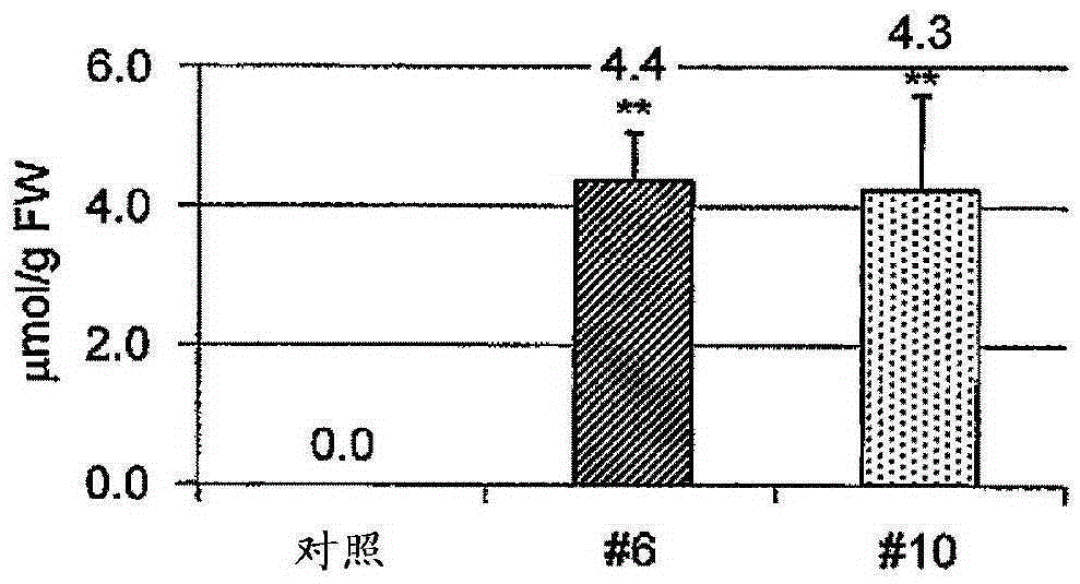 Onion which have less pungent taste and does not form lachrymatory factor