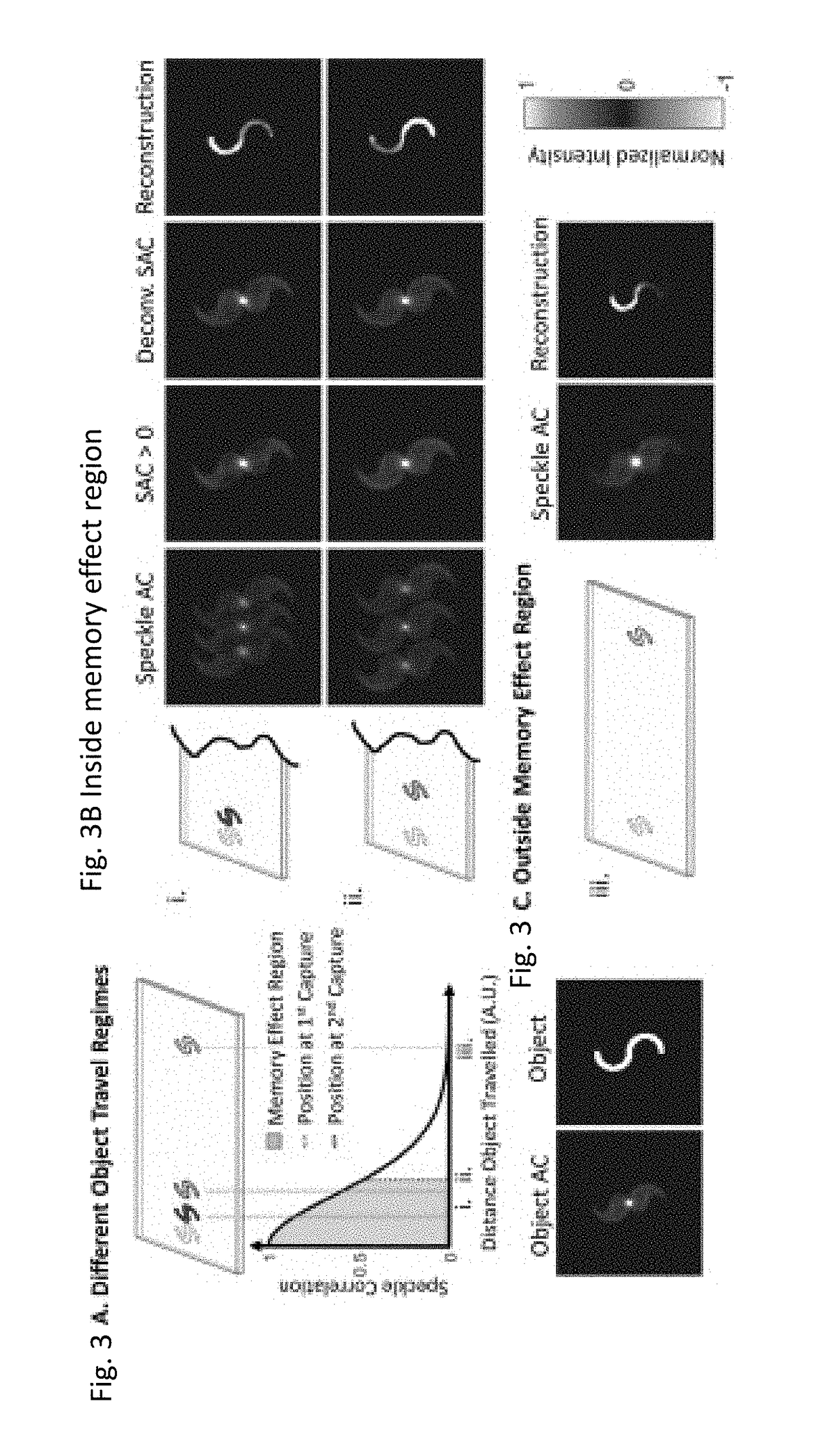 Noninvasive, label-free, in vivo flow cytometry using speckle correlation technique
