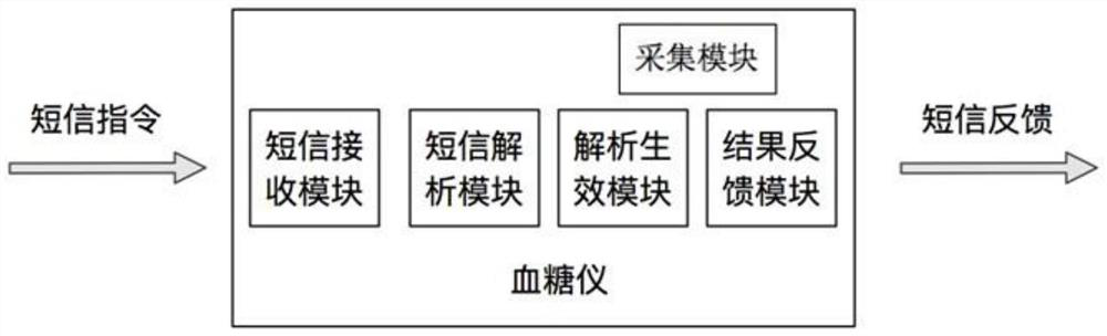 A portable blood glucose meter and its control method