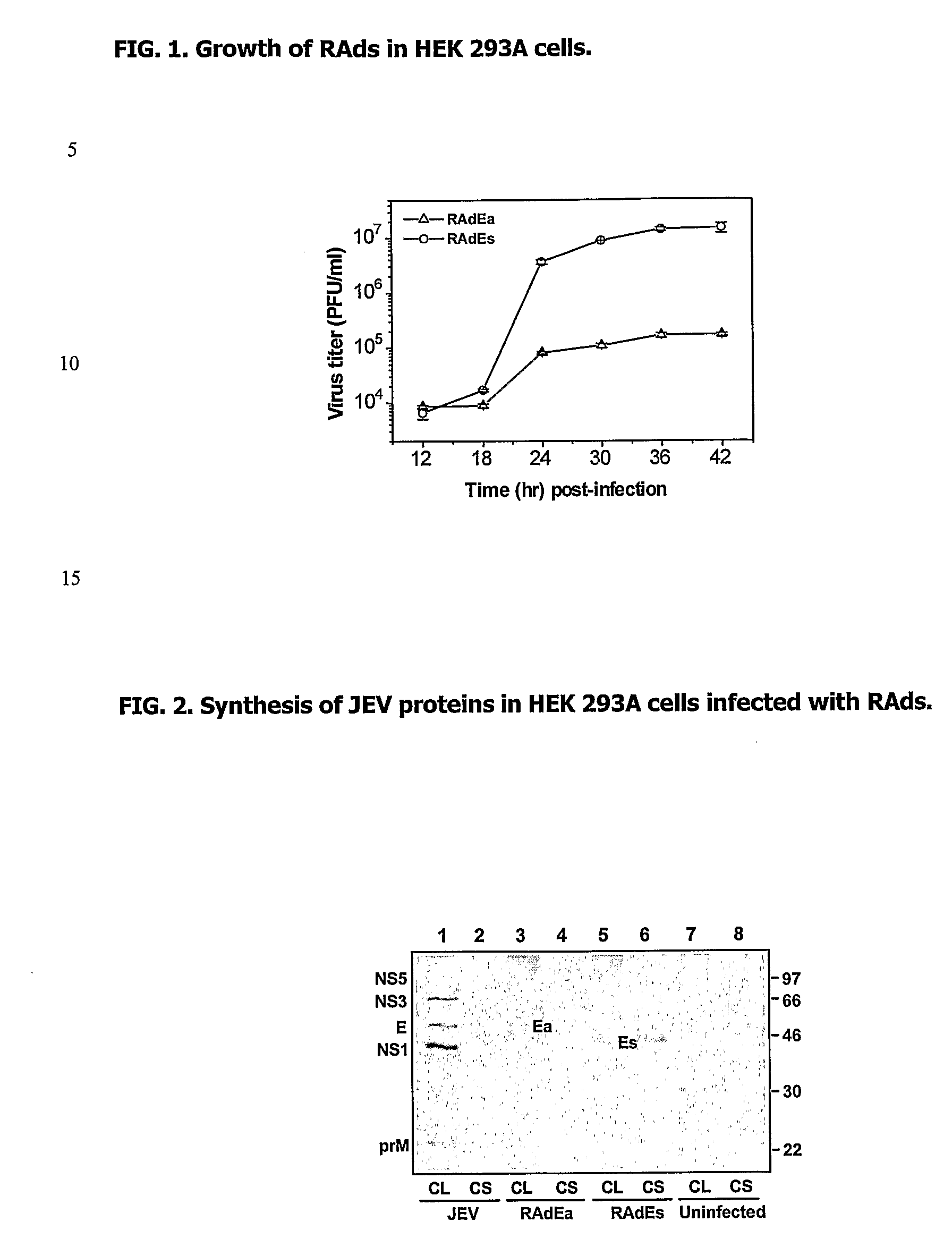 Recombinant Vaccine Against Japanese Encephalitis Virus (Jev) Infection and a Method Thereof