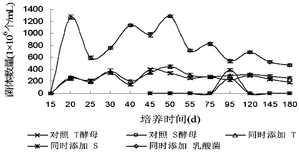 Method for preparing pre-solid post-slurry soy sauce by using synergetic fermentation of lactic acid bacteria and yeast
