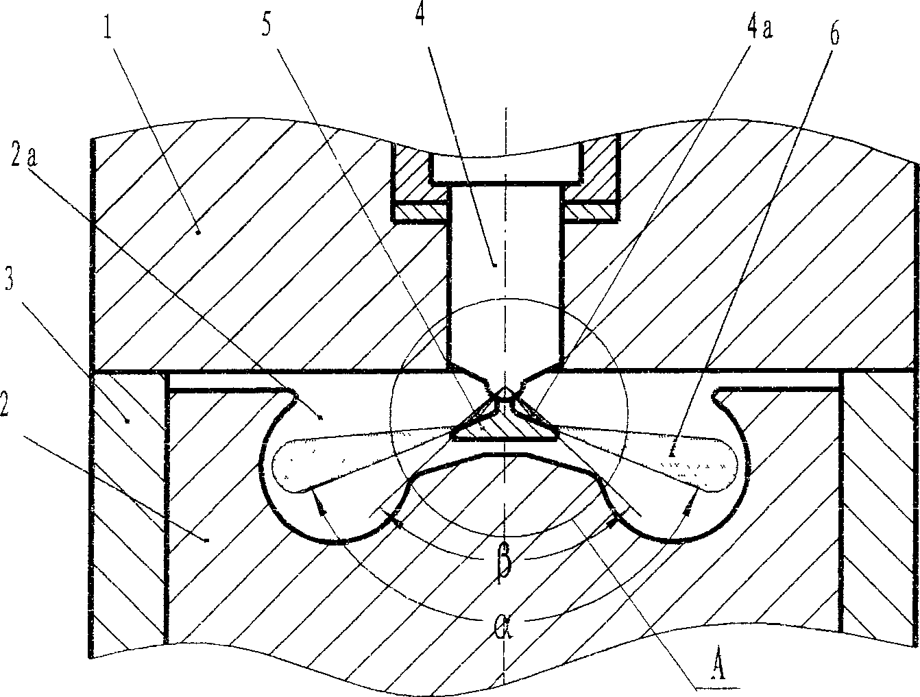 Injection system for internal combustion engine