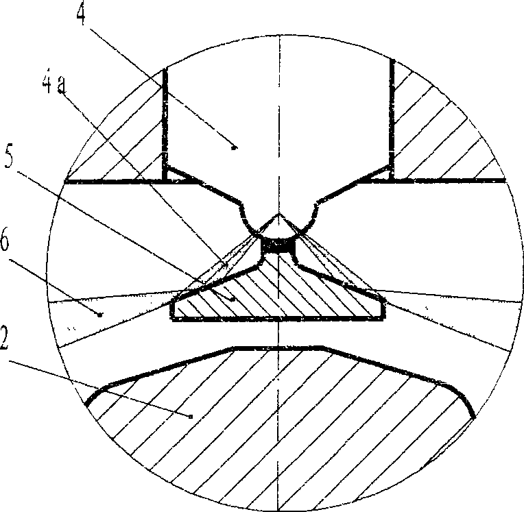 Injection system for internal combustion engine