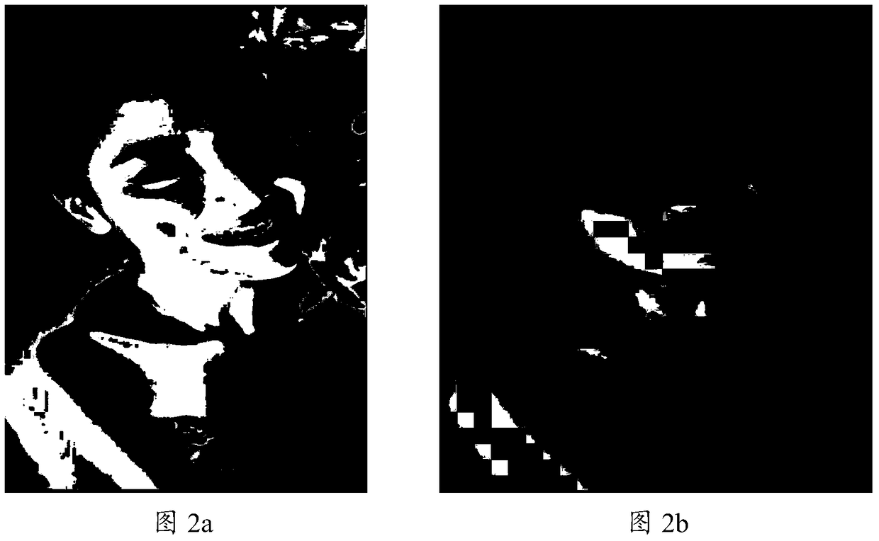 A skin texture detection method and device based on gabor features