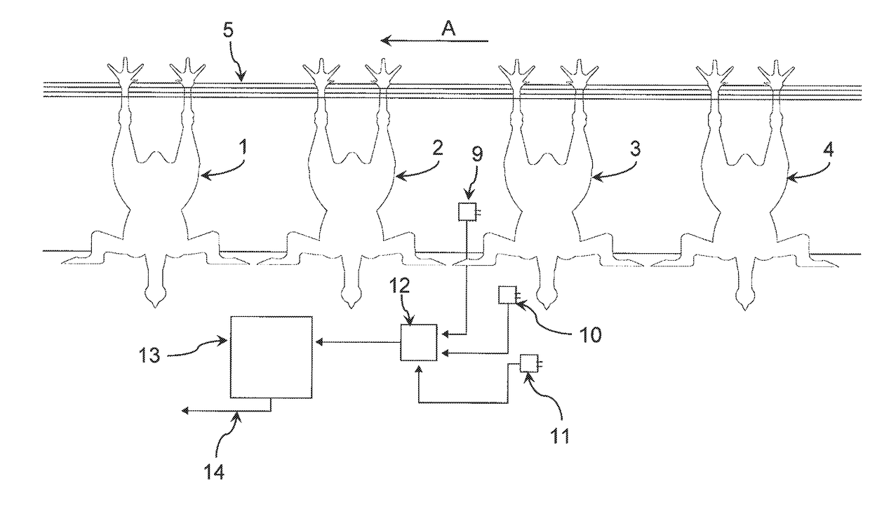 Method and apparatus for processing slaughtered poultry