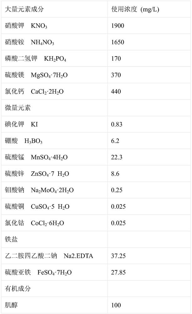 Incised notopterygium seed tissue culture breeding method