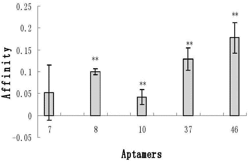 Oligonucleotide sequence for detecting vibrio alginolyticus and application thereof