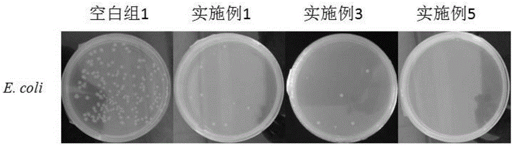 Antibacterial ultrafiltration membrane, preparation method thereof and membrane regeneration method