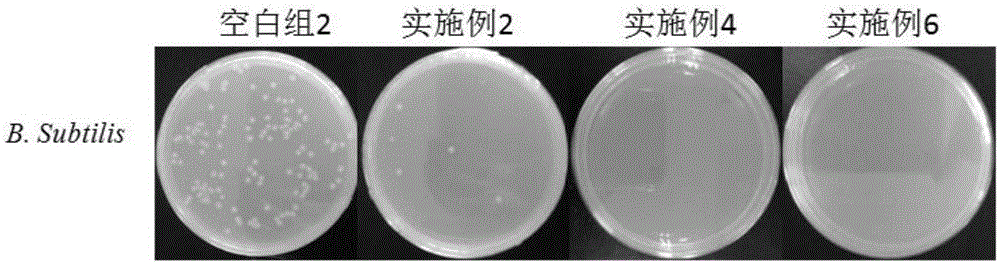 Antibacterial ultrafiltration membrane, preparation method thereof and membrane regeneration method