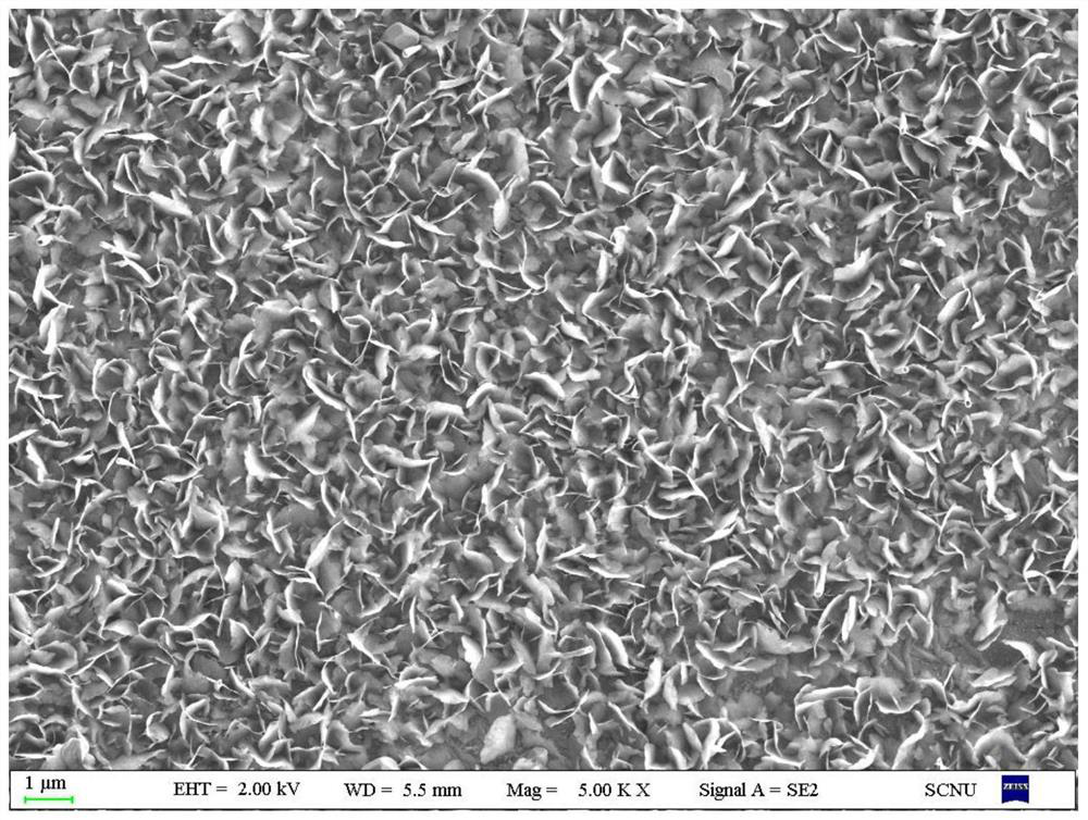 Preparation method and application of rhenium disulfide nano sheet