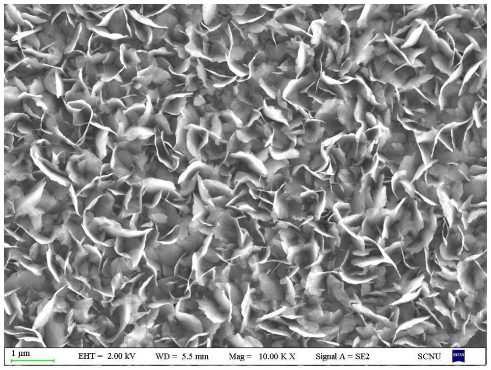 Preparation method and application of rhenium disulfide nano sheet