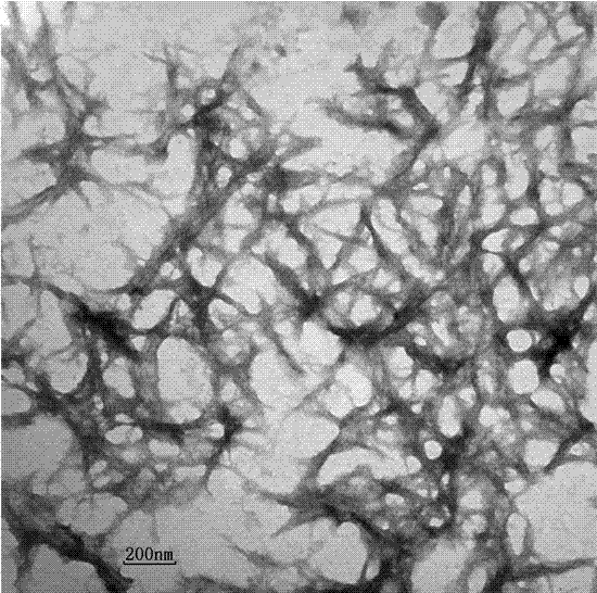 Method for preparing nano crystal cellulose by dissociating ZnCl2