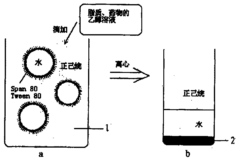 Method of preparing lipid nano granule