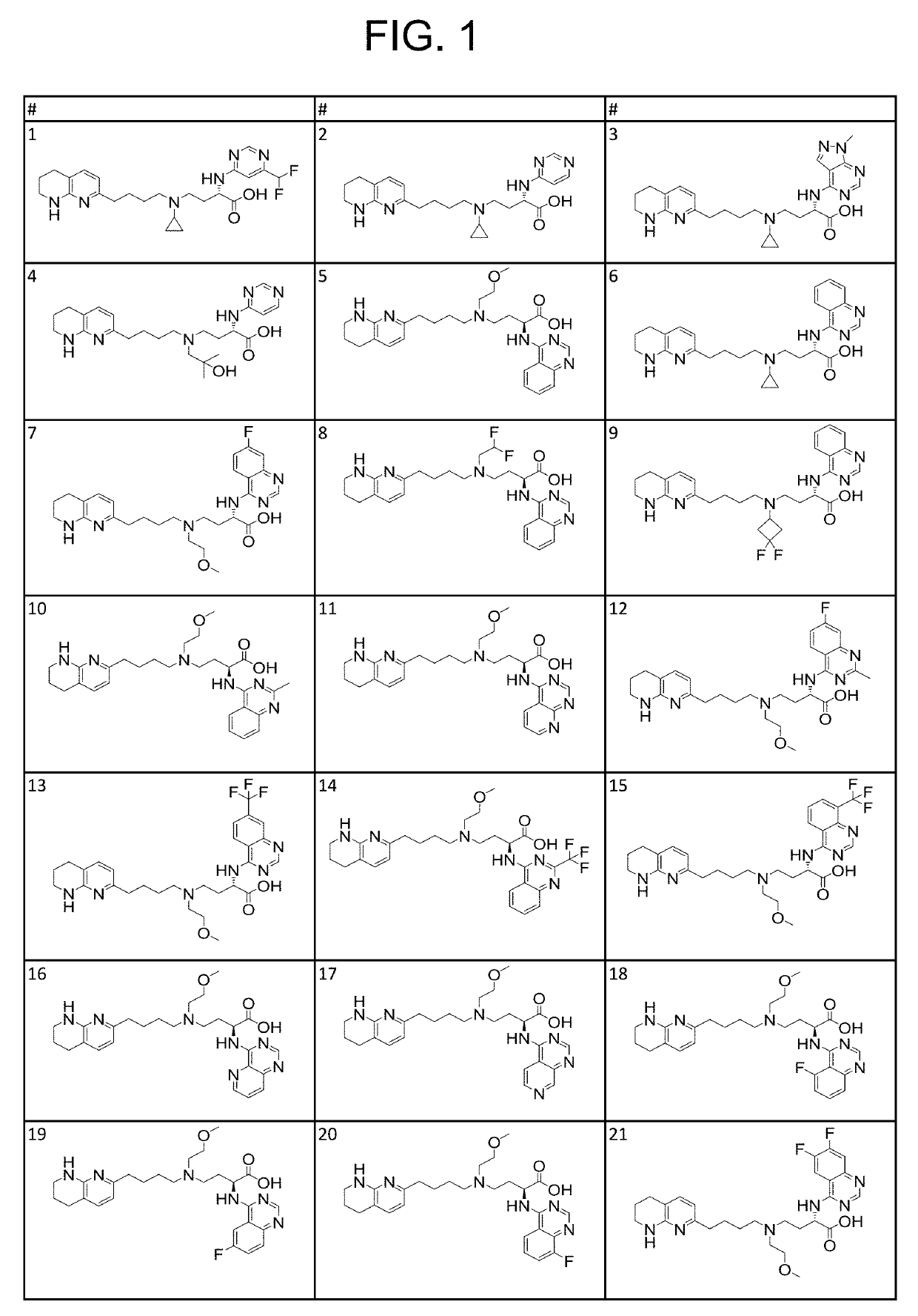 Amino acid compounds and methods of use