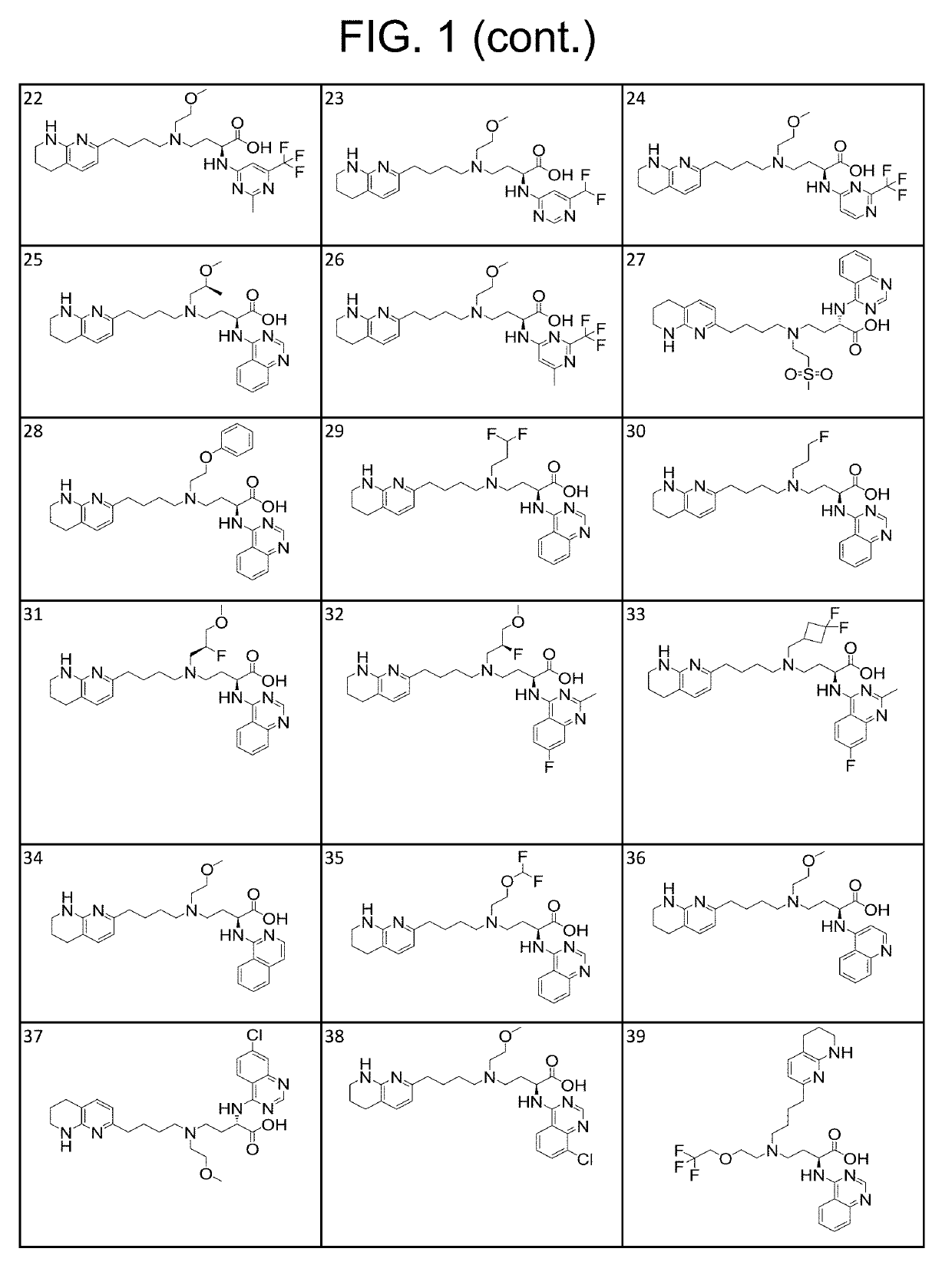 Amino acid compounds and methods of use