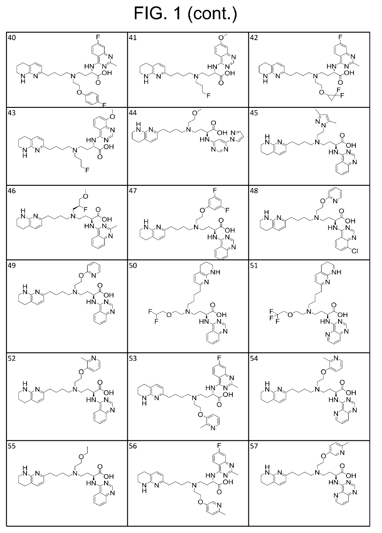 Amino acid compounds and methods of use