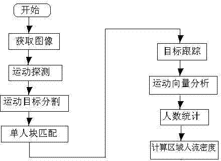 Video passenger flow monitoring system and method