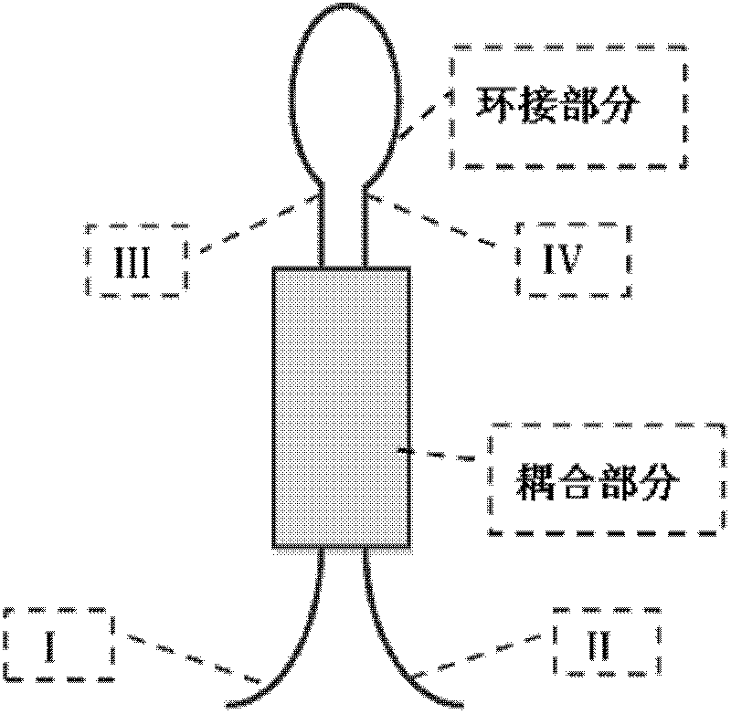 Quasi-distributed white light interference strain sensing system based on optical fiber full-spectrum reflectors with adjustable splitting ratios