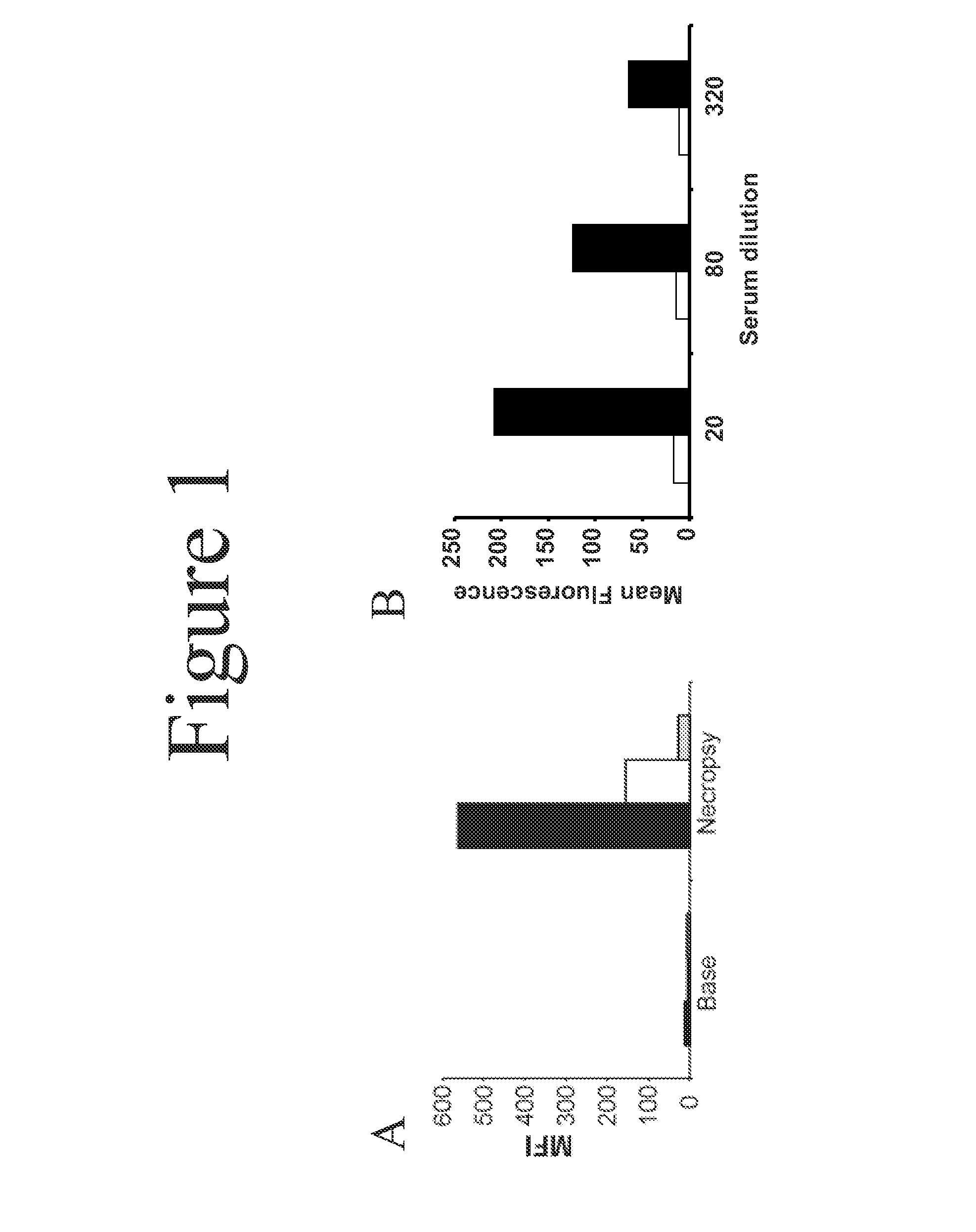 Methods and materials for reducing cardiac xenograft rejection