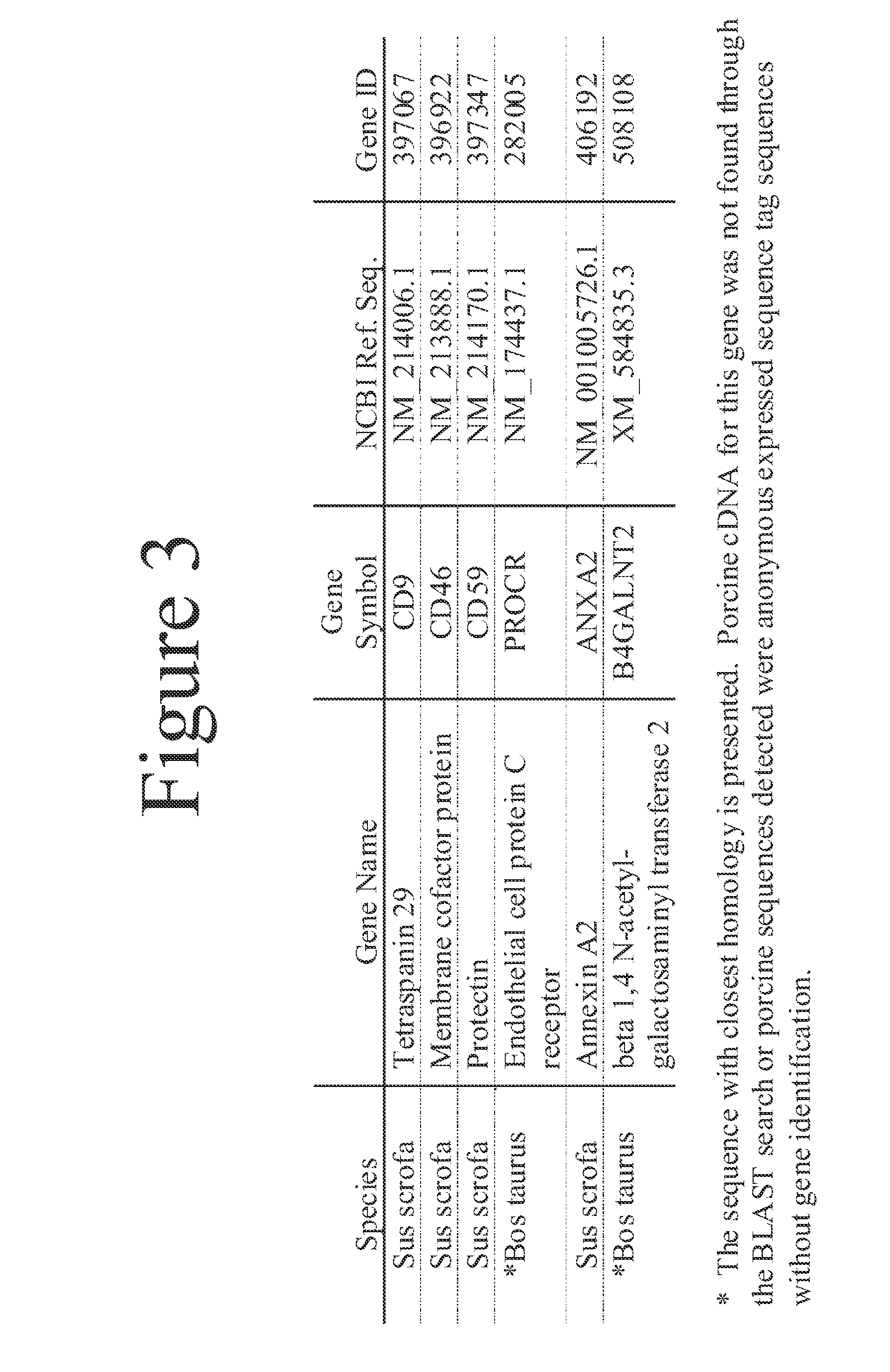 Methods and materials for reducing cardiac xenograft rejection