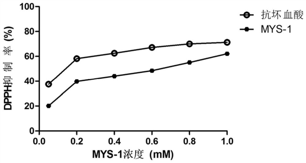 A kind of gene recombinant collagen oligopeptide mys-1 and its preparation method and application