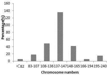 Chilo suppressalis larva midgut cell line with high yield of baculovirus