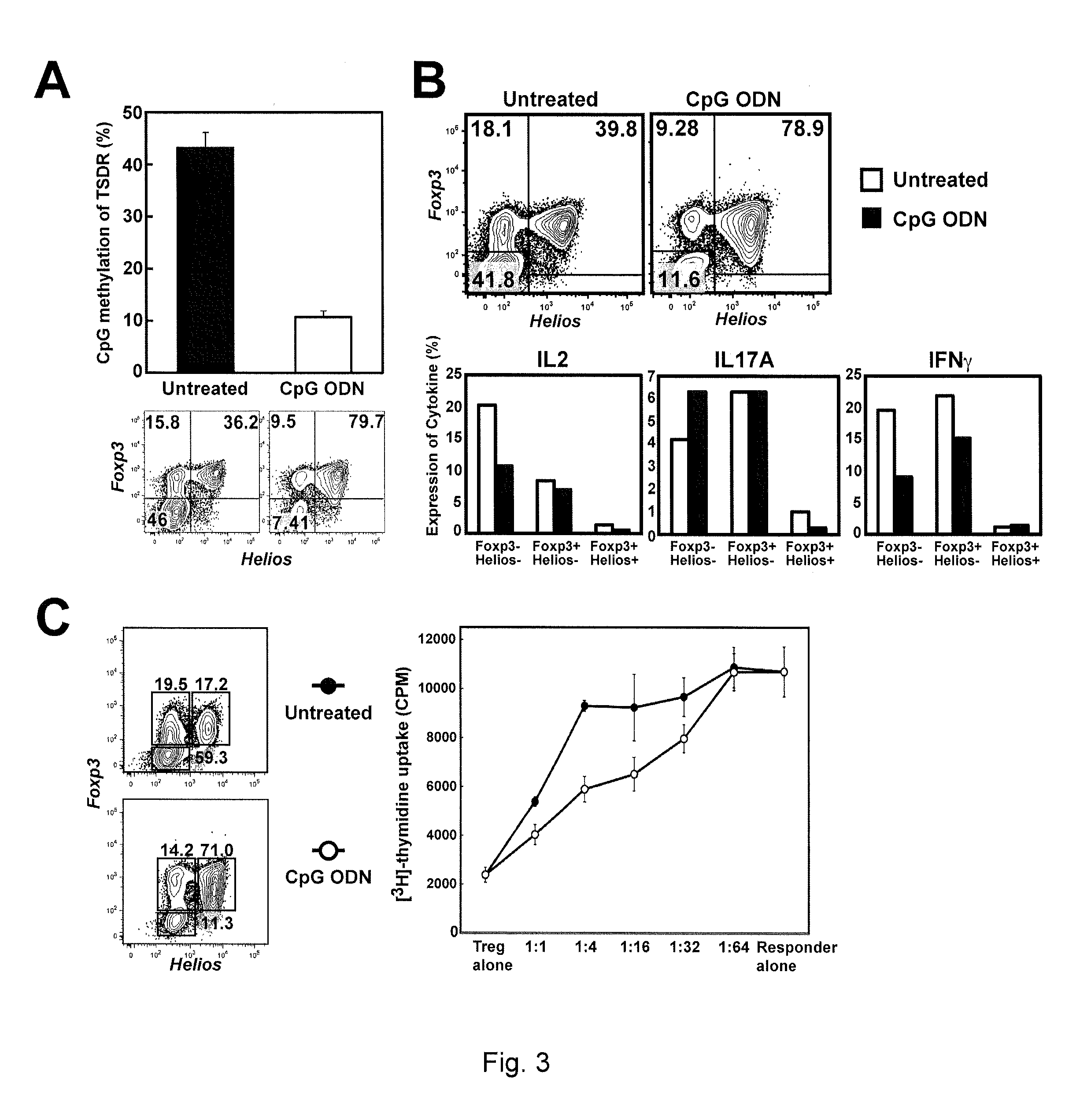 Methods of producing t cell populations enriched for stable regulatory t-cells