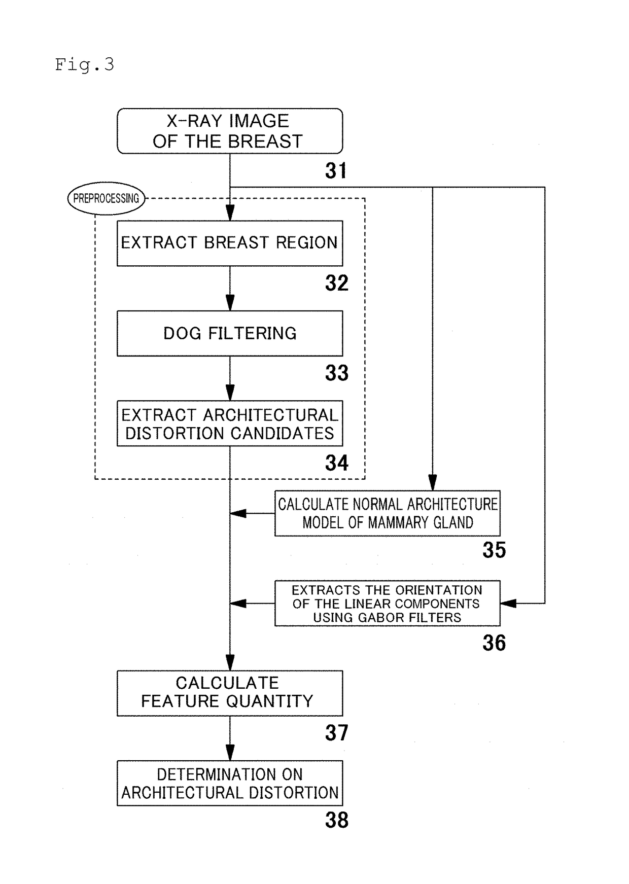 Breast cancer detection system, breast cancer detection method, breast cancer detection program, and computer-readable recording medium having breast cancer detection program recorded thereon