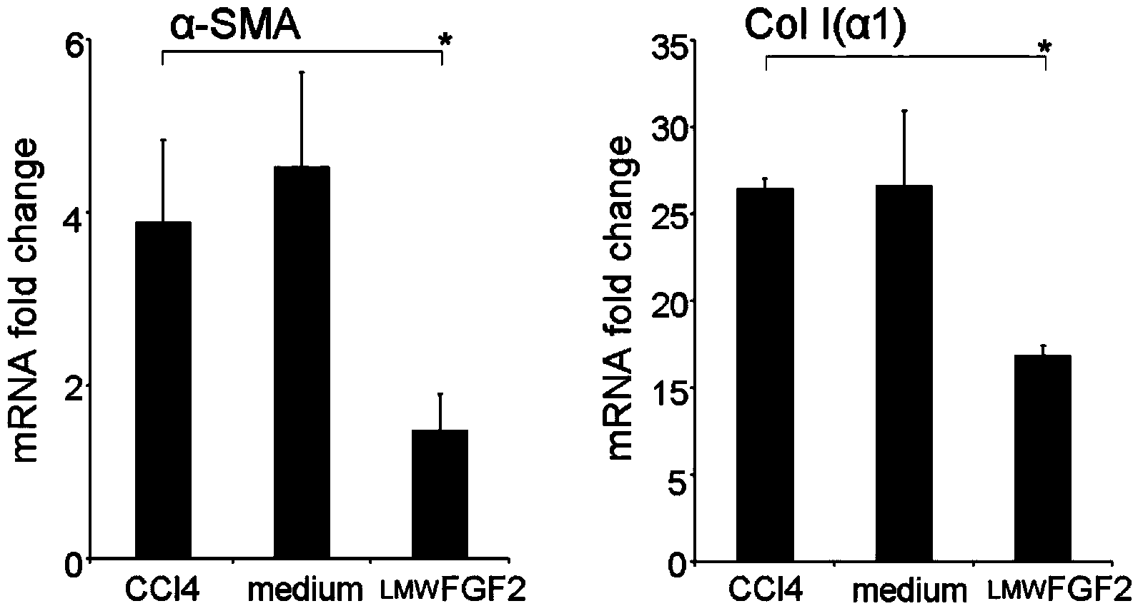 Application of low molecular weight basic fibroblast growth factor LMW FGF2