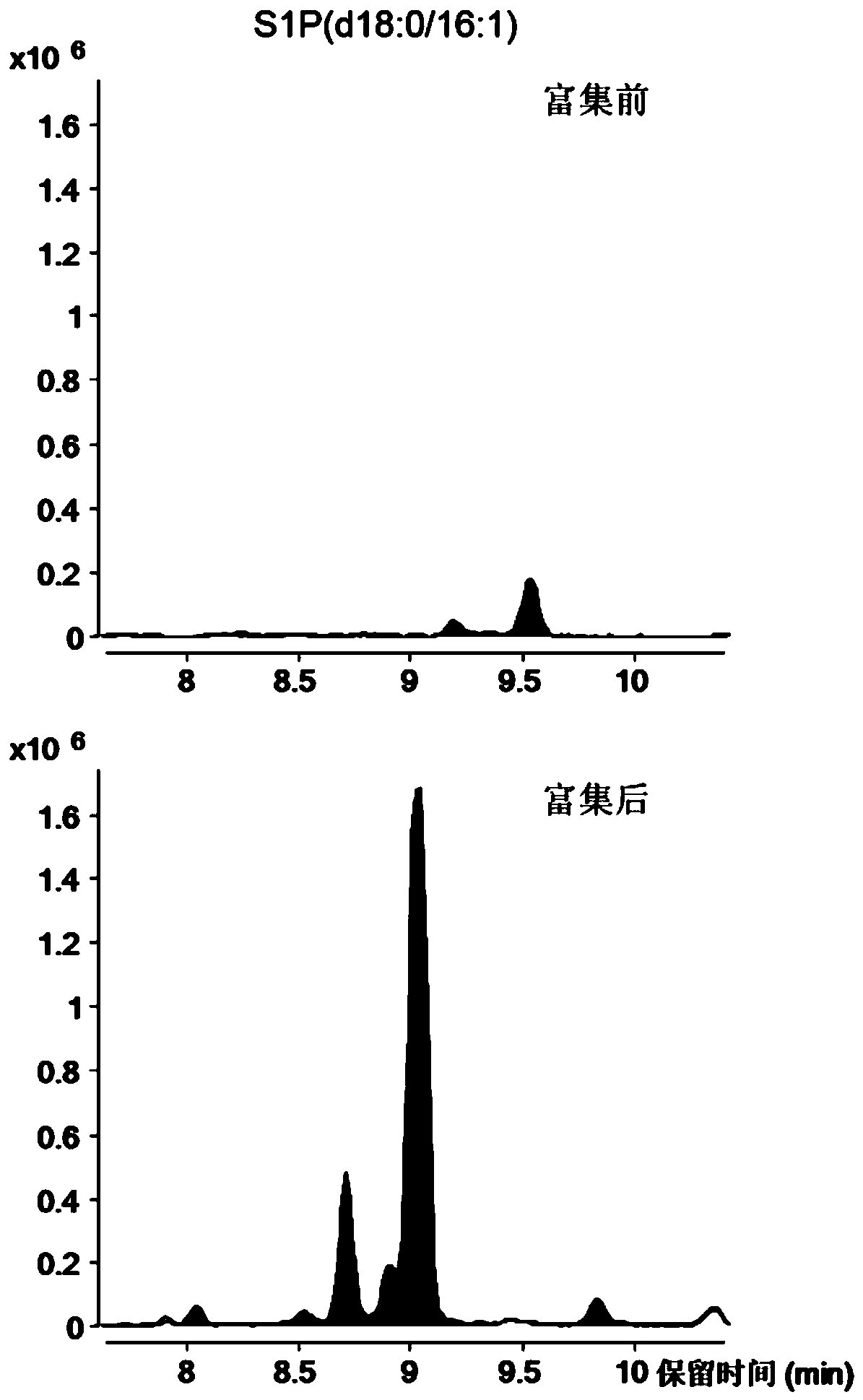 Method for specific separation and enrichment of acid sphingolipid and glycosphingolipid in human serum