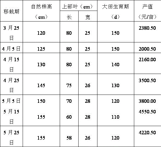 A planting and field management method of safflower dajinyuan on the red soil of autumn mountain