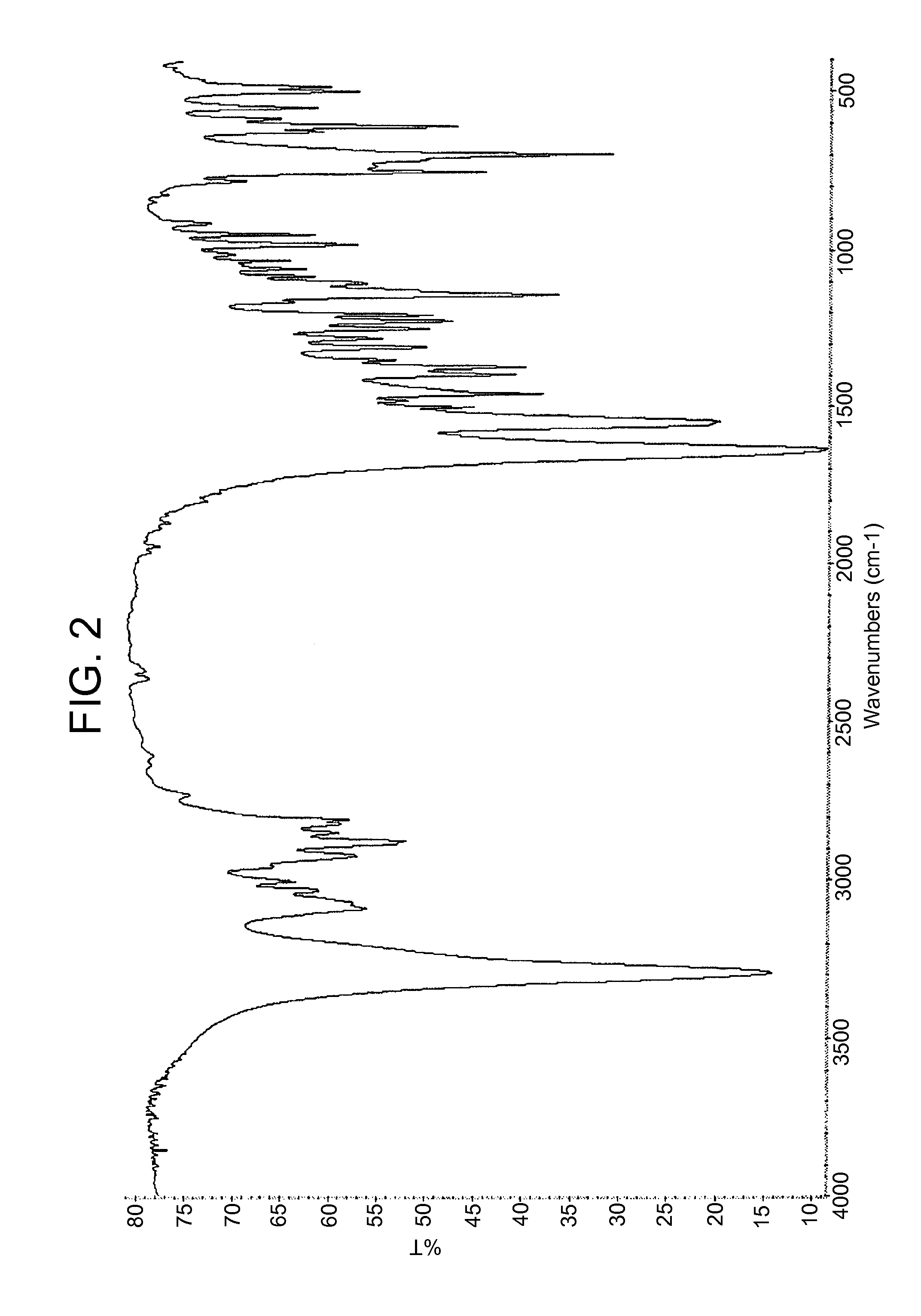 Solid forms of an N-(phenylmethyl)propanamide derivative and processes of preparation