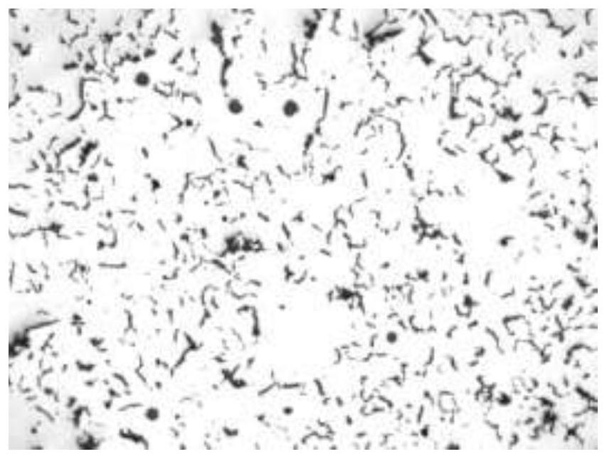 A kind of Si-free rare earth magnesium alloy nodulizer and its preparation method and application